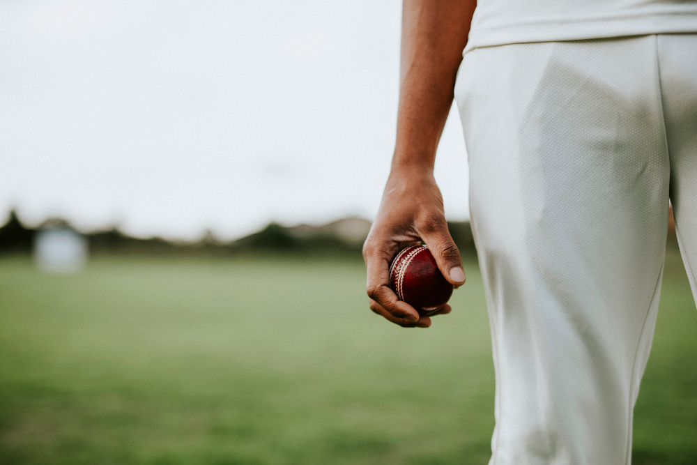 The Future of Fantasy Sports Cricket in the Digital Age